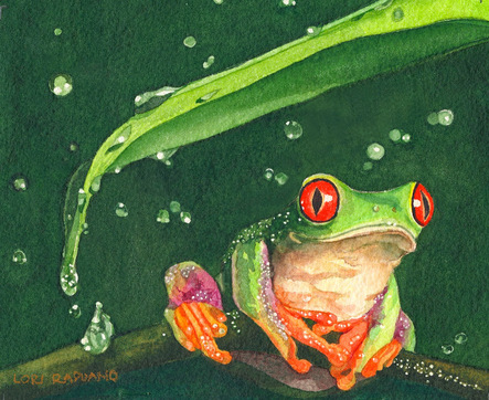 Ribbitt, tropical frog in the rain, by Lori Rapuano