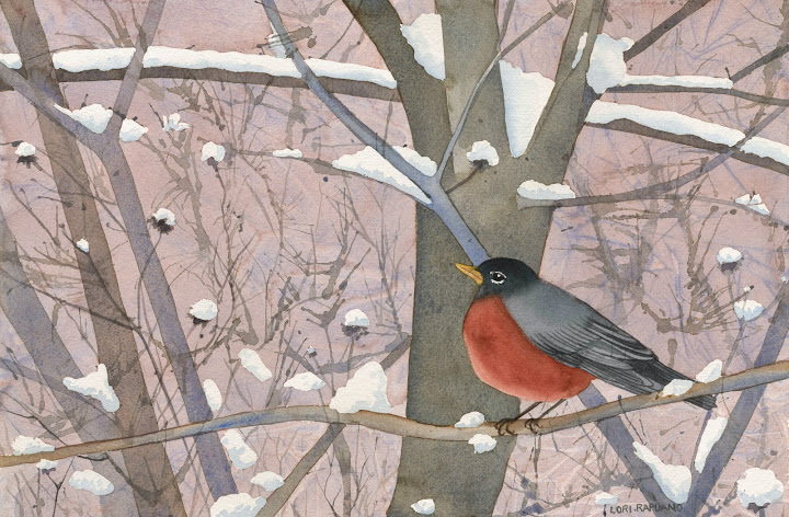 Spring is Coming, robin in the snow, by Lori Rapuano