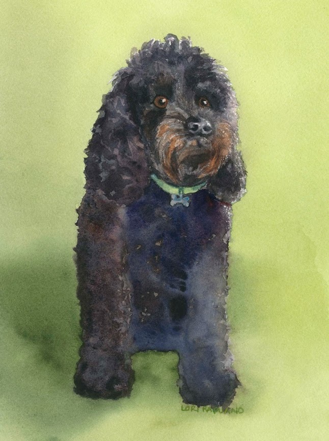 Sam the poodle, pet portrait by Lori Rapuano