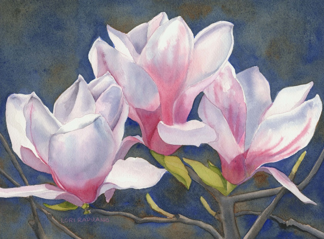 Spring is coming, magnolias by Lori Rapuano