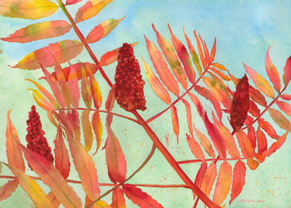 Sumac Splendor, fall colors by Lori Rapuano