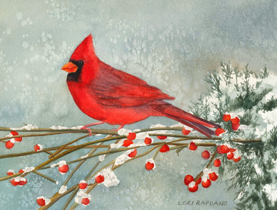 Cardinal in the Snow by Lori Rapuano