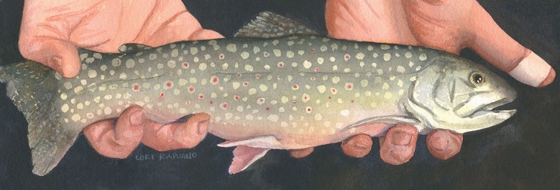 Brookie, my husband holding his Brook Trout by Lori Rapuano 