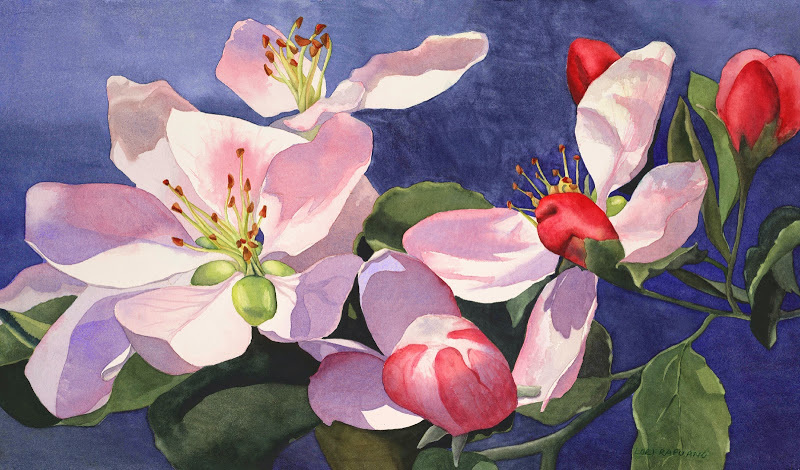 Apple Blossoms by Lori Rapuano